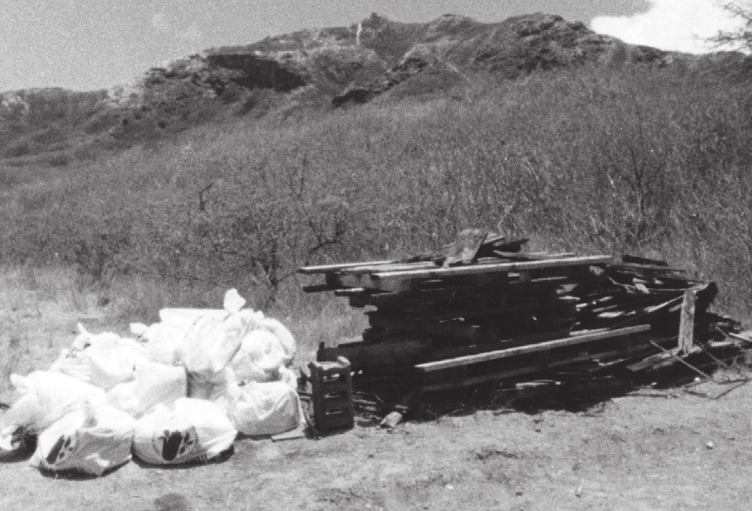 Stacked lumber and bagged junk collected from alongside the trail.