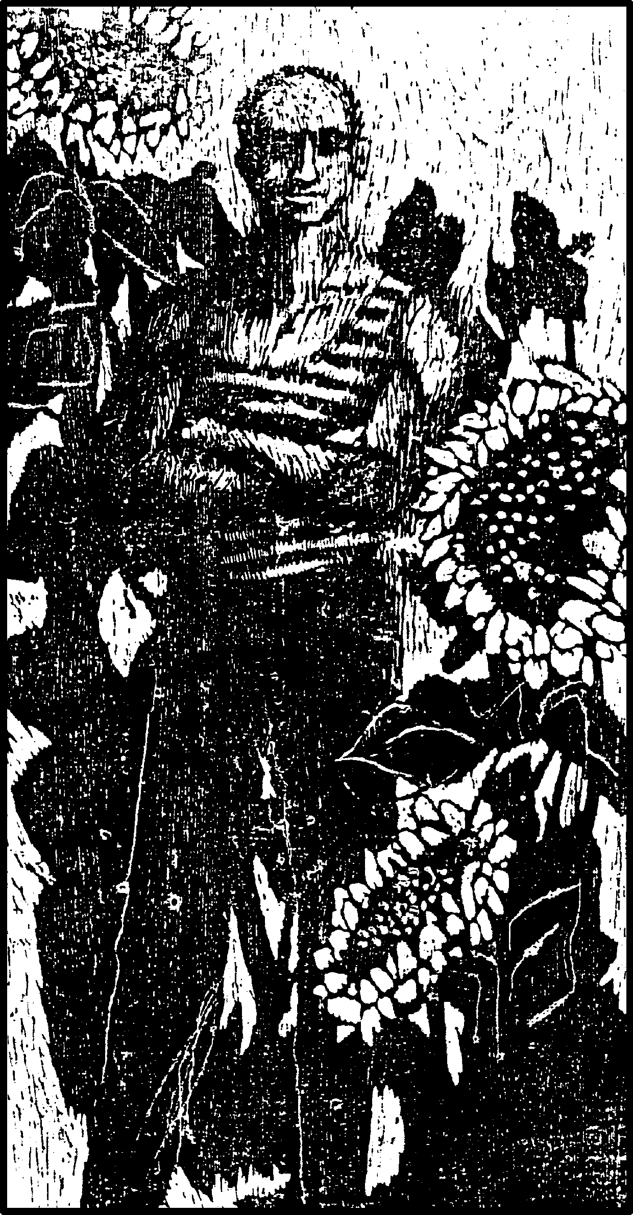 Jack in sunflower garden